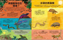 Load image into Gallery viewer, 好多好多的爬蟲