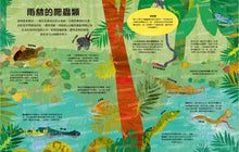 Load image into Gallery viewer, 好多好多的爬蟲