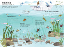 Load image into Gallery viewer, The Big Book of Bugs 蟲蟲大書