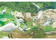 Load image into Gallery viewer, Our Forests 我们的森林