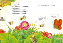 Load image into Gallery viewer, Diary of the Insects series(8 books-set) 我的日记系列