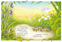 Load image into Gallery viewer, Diary of the Insects series(8 books-set) 我的日记系列