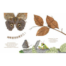 Load image into Gallery viewer, A Butterfly is Patient 有耐心的蝴蝶