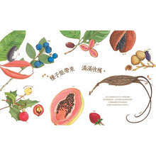 Load image into Gallery viewer, A Seed is Sleepy 沉睡中的種子