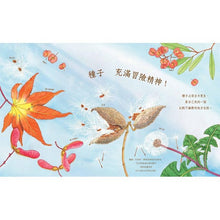 Load image into Gallery viewer, A Seed is Sleepy 沉睡中的種子