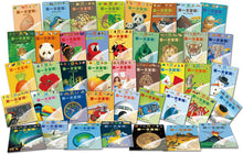 Load image into Gallery viewer, First Discoveries Series 第一次发现丛书 透视眼系列 第一辑/全42册