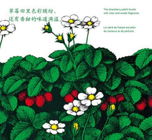 Load image into Gallery viewer, Strawberries 草莓