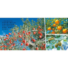 Load image into Gallery viewer, My Natural Book Bag 我的自然小書包(20本平裝圖畫書+4CDs+2DVDs)