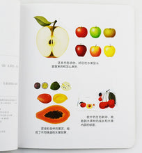 Load image into Gallery viewer, First Discoveries Series 第一次发现丛书 透视眼系列 第一辑/全42册