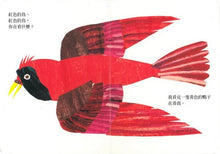 Load image into Gallery viewer, Brown Bear, Brown Bear, What Do You See?棕色的熊、棕色的熊,你在看什麼