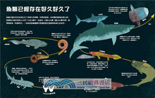 Load image into Gallery viewer, There are Fish Everywhere 好多好多的魚