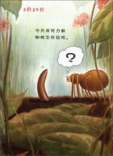Load image into Gallery viewer, Diary of a Worm 蚯蚓的日记