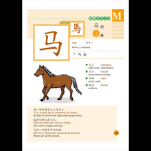 Load image into Gallery viewer, Far East Illustrated 300 Chinese Character Dictionary遠東圖解漢字三百字典