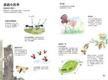 Load image into Gallery viewer, The Big Book of Bugs 蟲蟲大書