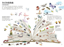 Load image into Gallery viewer, The Big Book of Bugs 蟲蟲大書