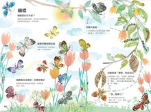 Load image into Gallery viewer, The Big Book of Bugs 蟲蟲大書