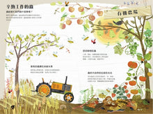 Load image into Gallery viewer, The Big Book of Bugs 蟲蟲大書