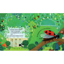 Load image into Gallery viewer, Peep Inside: The Garden 偷偷看一下:熱鬧的花園