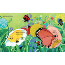 Load image into Gallery viewer, Peep Inside: The Garden 偷偷看一下:熱鬧的花園