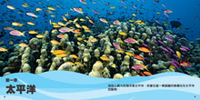 Load image into Gallery viewer, National Geographic Little Kids First Big Book of the Ocean國家地理小小海洋探險家