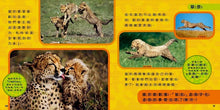 Load image into Gallery viewer, National Geographic Little Kids/Book of Animals國家地理小小動物探險家