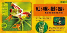 Load image into Gallery viewer, National Geographic Little Kids/Book of Animals國家地理小小動物探險家