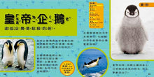 Load image into Gallery viewer, National Geographic Little Kids/Book of Animals國家地理小小動物探險家