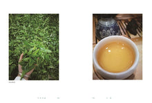Load image into Gallery viewer, 寻茶问道