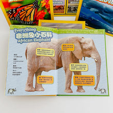 Load image into Gallery viewer, Great Migrations Kids: Whales, Wildebeests, Butterflies, Elephants, and Other Amazing Animals on the Move大遷徙兒童版(一套四冊,附精美書盒)