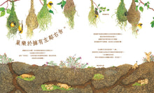 Load image into Gallery viewer, A Nest is Noisy 鬧哄哄的巢