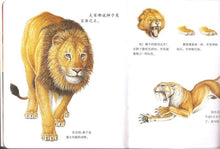 Load image into Gallery viewer, First Discoveries Series 第一次发现丛书 透视眼系列 第一辑/全42册