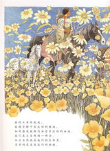 Load image into Gallery viewer, Brother Eagle, Sister Sky 西雅图酋长的宣言