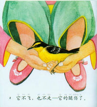 Load image into Gallery viewer, Fly High飞吧/拼音 + CD-ROM