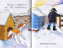 Load image into Gallery viewer, I Love to Read Chinese-All About Henry 亨利的故事 Band 5(4 Books + CD-ROM)