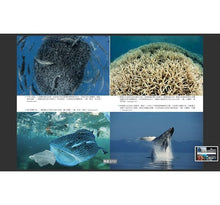 Load image into Gallery viewer, 活在我們的星球(Netflix同名紀錄片):世界級自然學家見證地球一百年的變遷與展望