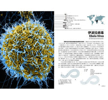 Load image into Gallery viewer, 病毒完全圖鑑:你必須知道的101種病毒的構造、流行史與驚人多樣性