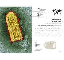 Load image into Gallery viewer, 病毒完全圖鑑:你必須知道的101種病毒的構造、流行史與驚人多樣性