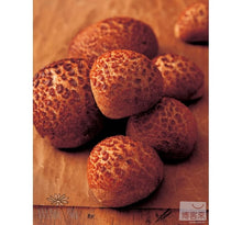 Load image into Gallery viewer, 從酵母思考麵包的製作:75個關於製作麵包的為什麼?:認識並應用老麵˙葡萄乾種˙天然酵母種˙啤酒花種˙ 酸種˙檸檬種,以及各式酵母種