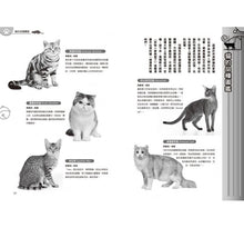 Load image into Gallery viewer, Doraemon Knowledge Exploration 哆啦A夢知識大探索1:百變貓咪召喚機