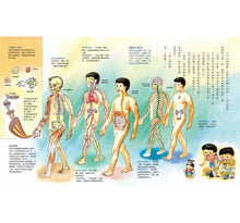 Load image into Gallery viewer, Human Body Factory (New Version)人體大工廠 (全新版)
