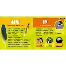 Load image into Gallery viewer, National Geographic Little Kids/ Birds 國家地理小小鳥類探險家