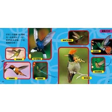 Load image into Gallery viewer, National Geographic Little Kids/ Birds 國家地理小小鳥類探險家