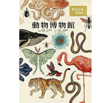 Load image into Gallery viewer, Animalium: Welcome to the Museum 動物博物館