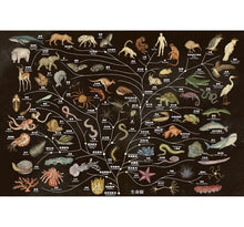 Load image into Gallery viewer, Animalium: Welcome to the Museum 動物博物館