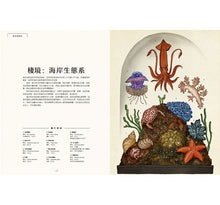 Load image into Gallery viewer, Animalium: Welcome to the Museum 動物博物館