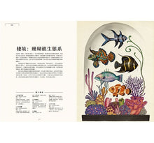 Load image into Gallery viewer, Animalium: Welcome to the Museum 動物博物館