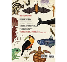 Load image into Gallery viewer, Animalium: Welcome to the Museum 動物博物館