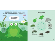 Load image into Gallery viewer, Animal Growth Story: Frog 動物成長小故事:青蛙豆豆