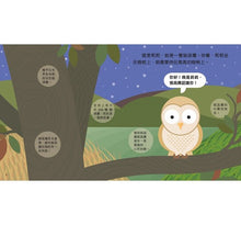 Load image into Gallery viewer, Animal Growth Story: Owl 成長小故事: 貓頭鷹莉莉