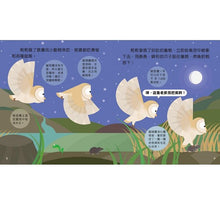 Load image into Gallery viewer, Animal Growth Story: Owl 成長小故事: 貓頭鷹莉莉